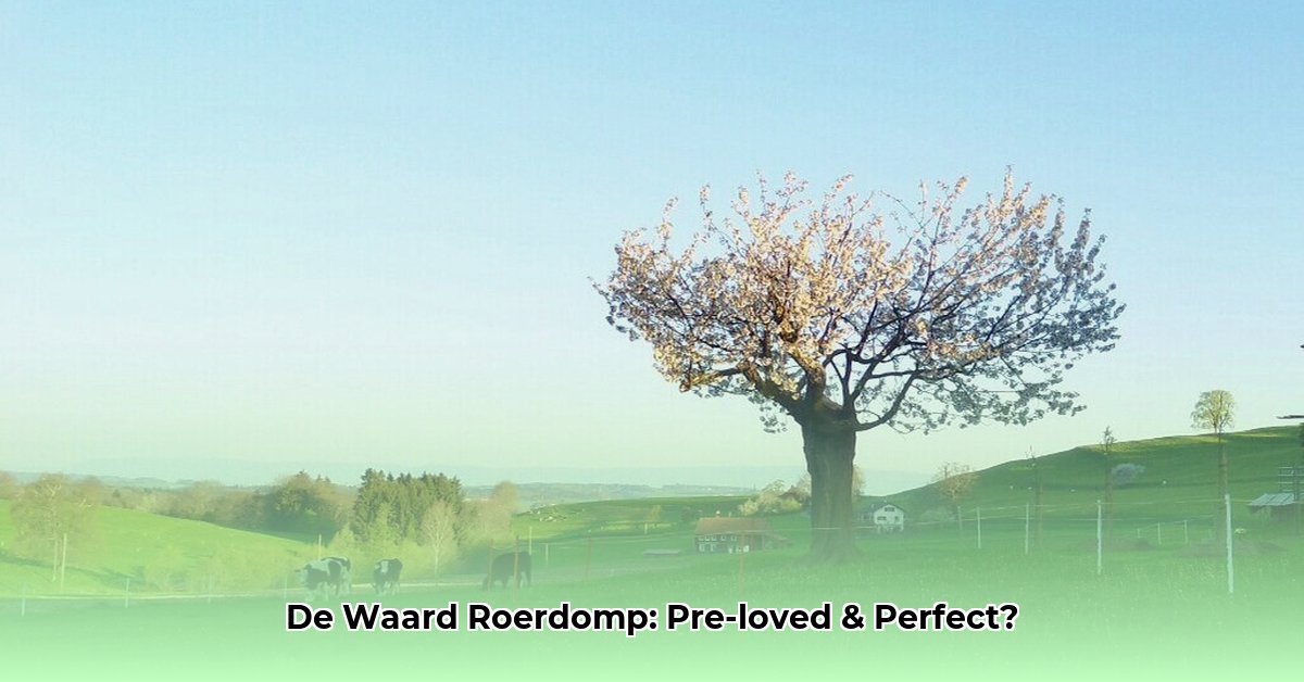 de-waard-roerdomp
